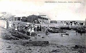 2086- Mostaganem - Salamandre - Station Balneaire